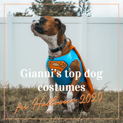 Gianni's top dog costumes for Halloween 2020