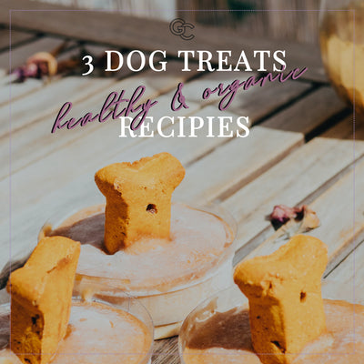 3 Healthy And Organic Dog Treat Recipes